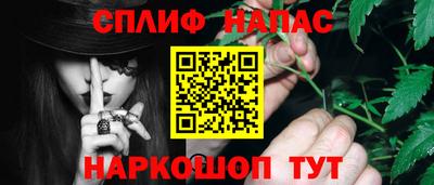 ПСИЛОЦИБИНОВЫЕ ГРИБЫ Новозыбков