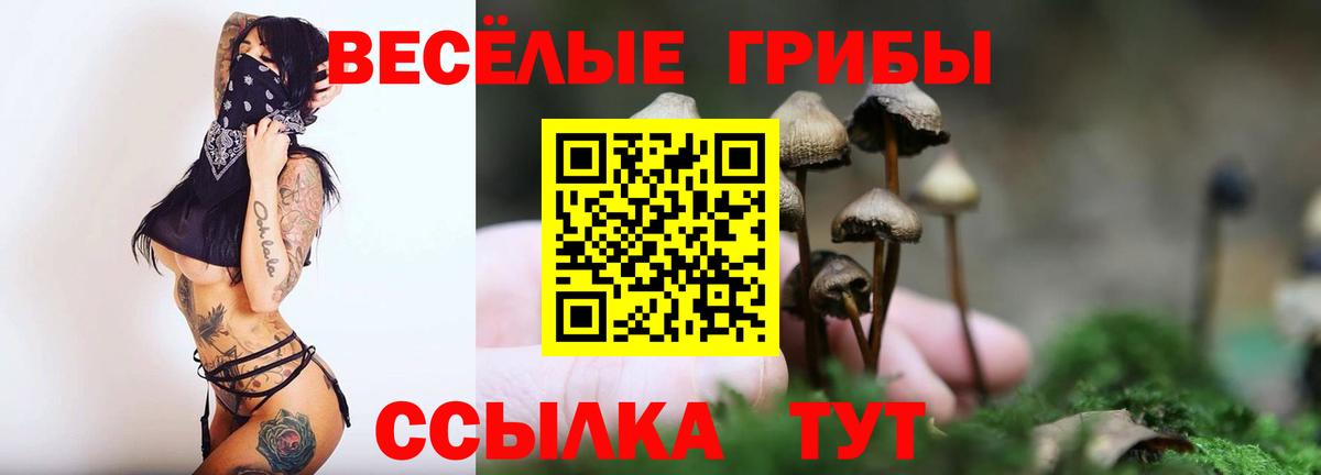 Ревда  Псилоцибиновые грибы MAGIC MUSHROOMS  Вход с VPN  Псилоцибиновые грибы Magic Shrooms 